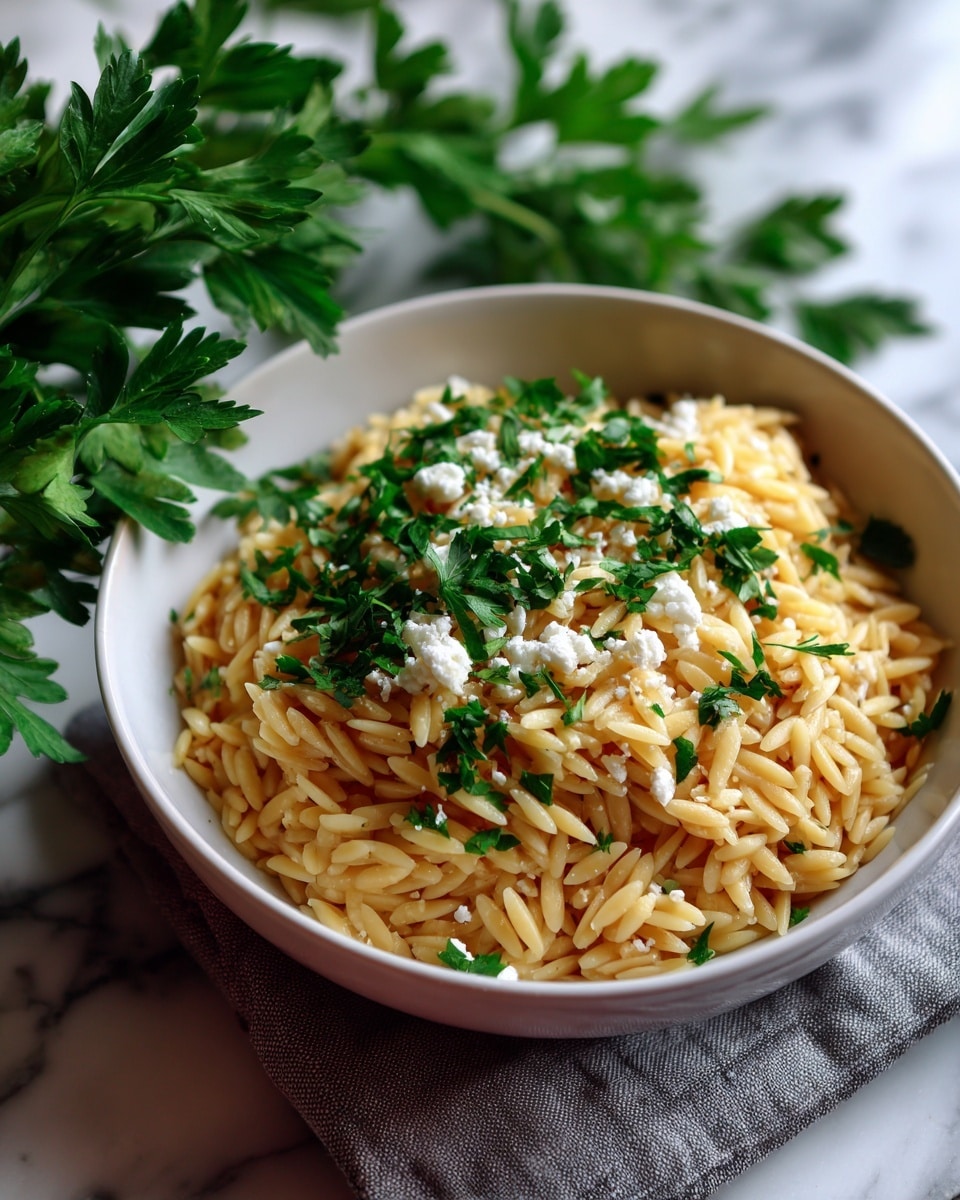 A white round plate holds a mound of orzo pasta that is light golden yellow in color, topped with small sprinkles of shredded white cheese and chopped fresh green parsley scattered evenly over the pasta. The plate rests on a grey cloth with a black diamond pattern, all set on a white marbled surface. In the top left corner, green leafy parsley peeks into the frame. The lighting is natural and bright, showing off the textures of the pasta and herbs clearly. Photo taken with an iphone --ar 4:5 --v 7